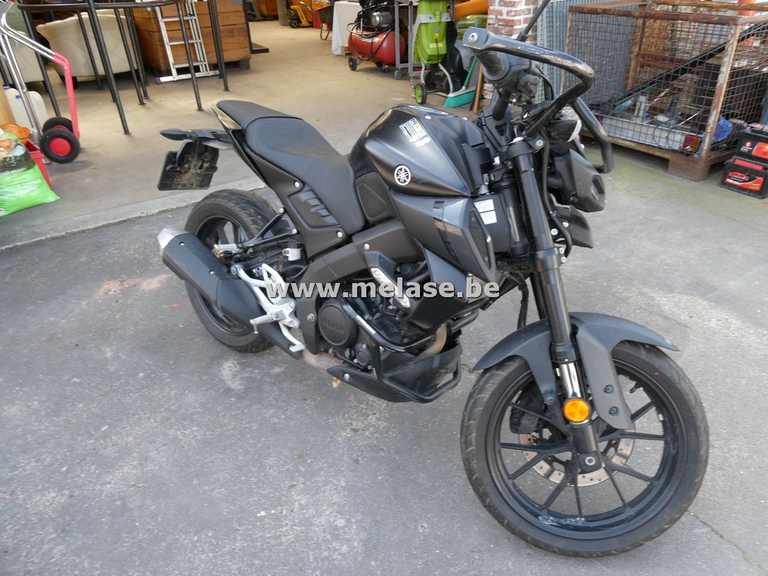 Wit-bruine loten 08/08/2025