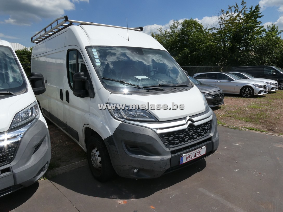 Wit-grijze loten 10/07/2026