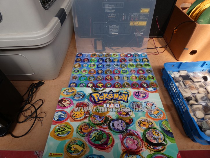 Pokémon kraks