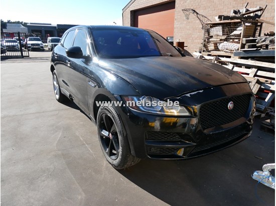 website promo 27