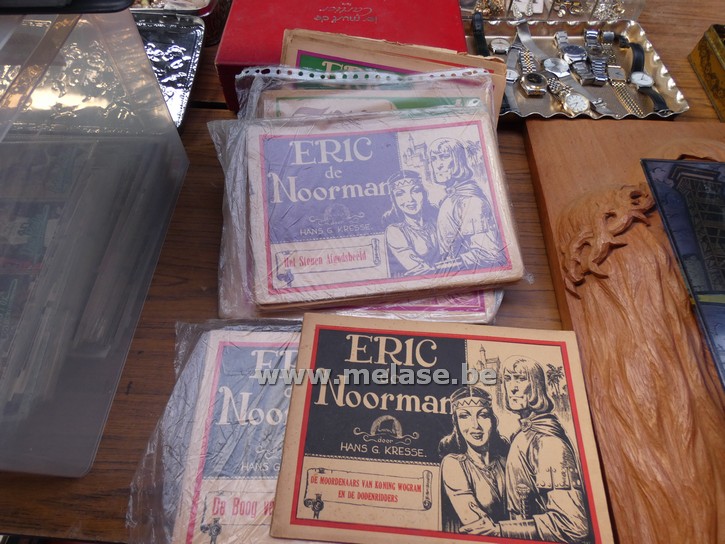 Boeken "Eric de Noorman"
