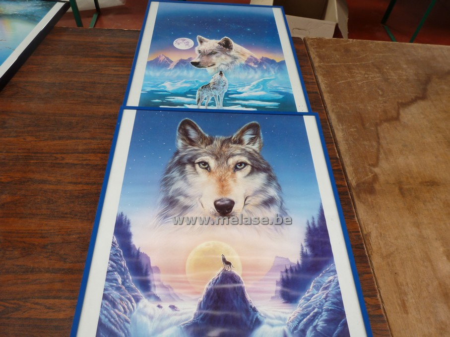 Prenten in kader "wolf - hond"