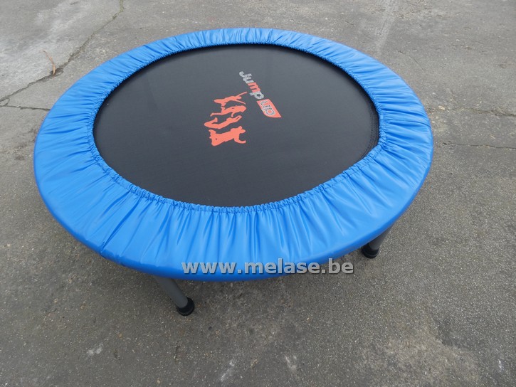 Mini-trampoline