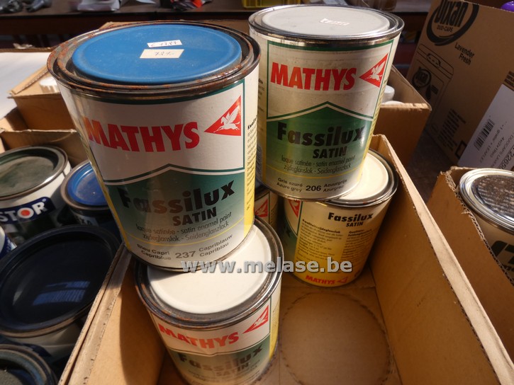 Zijdeglanslak "Mathys"