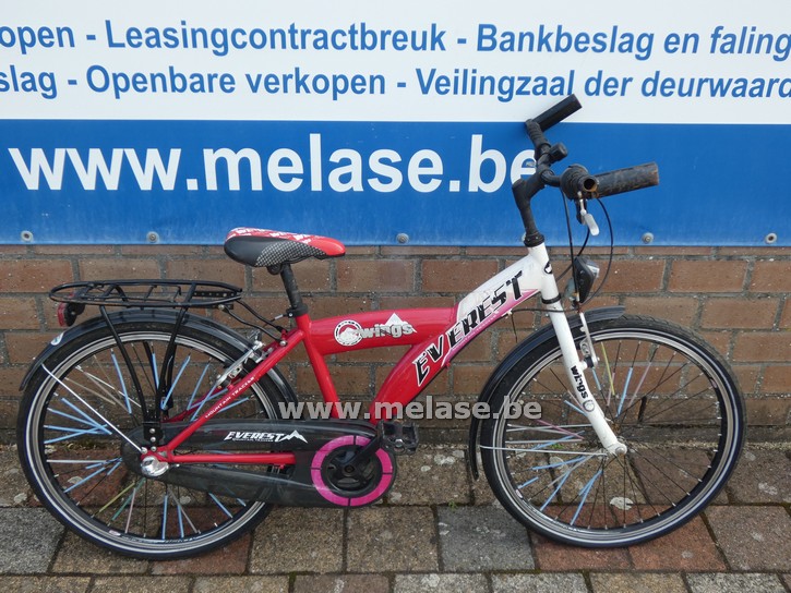 Kinderfiets "Everest Wings"