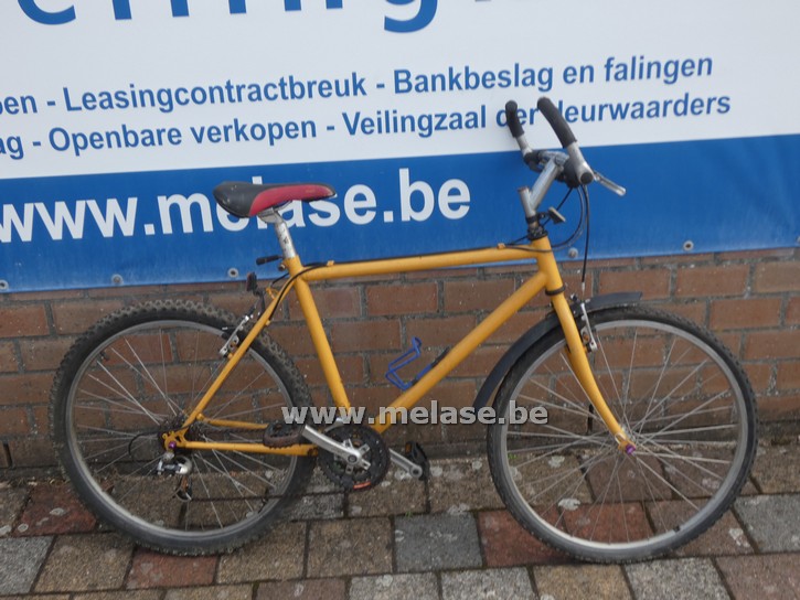 Mountainbike "geel"