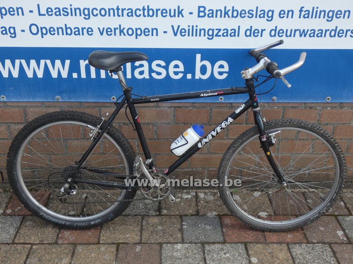 Mountainbike "Alpina"