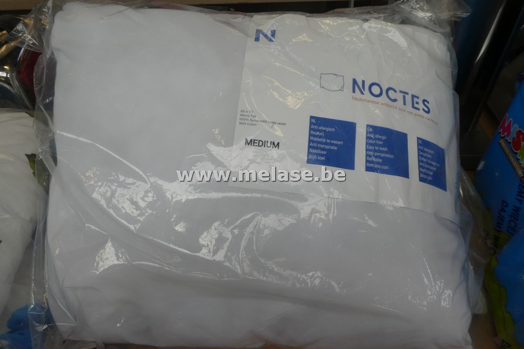 Hoofdkussens "Noctes - wit"