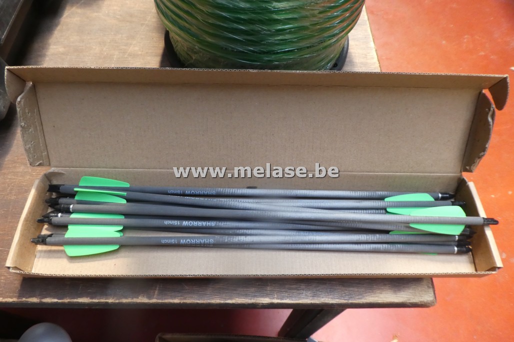 Kruisboogpijlen "Carbon"