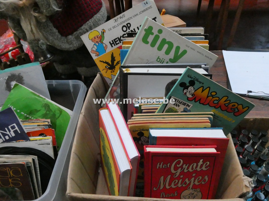 Doos boeken en strips