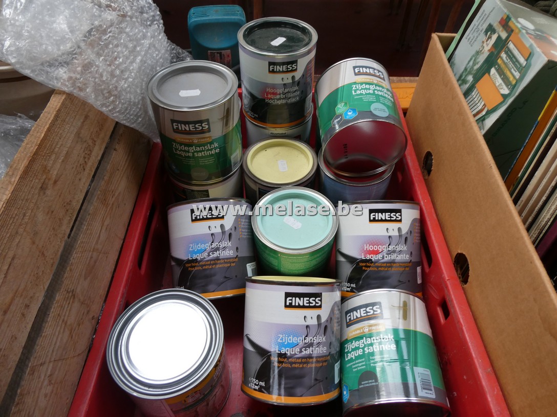 Verf/lak "Finess"