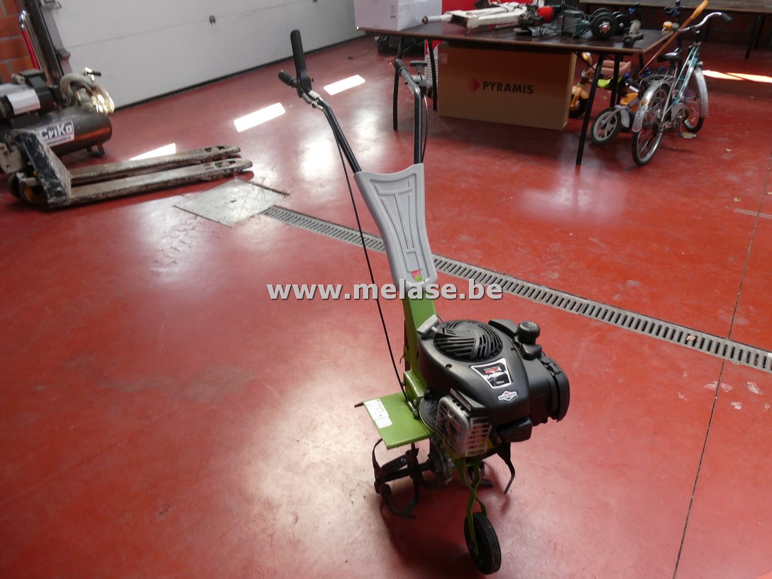 Tuinfrees "Central Park - Briggs & Stratton"