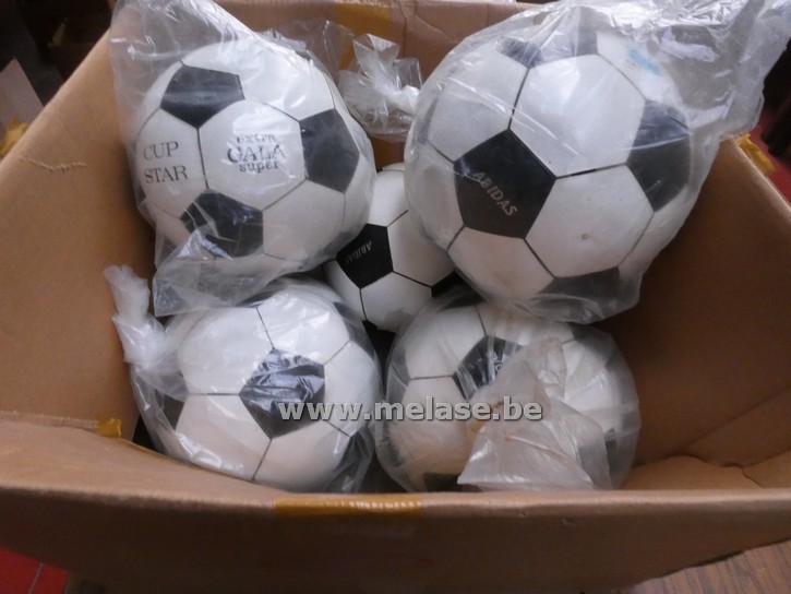Lederen voetballen